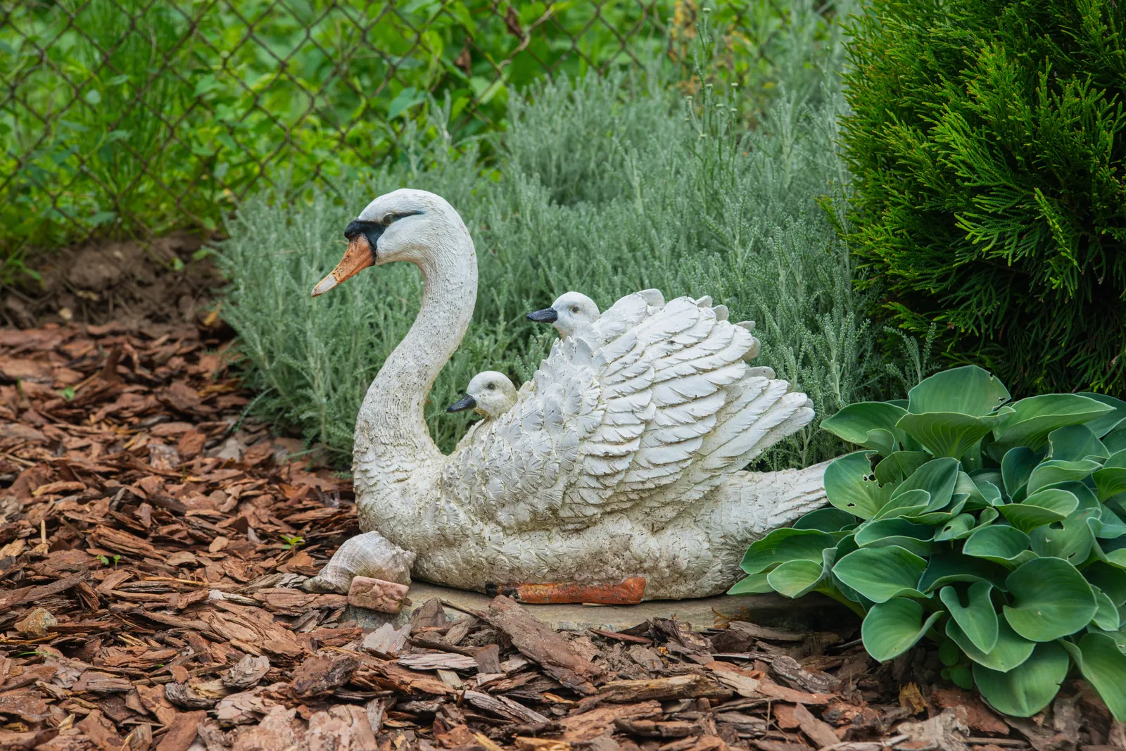 Территория